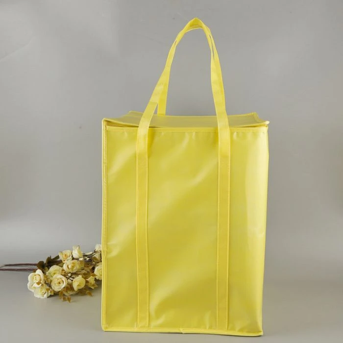 Fast Delivery Cooler Bag